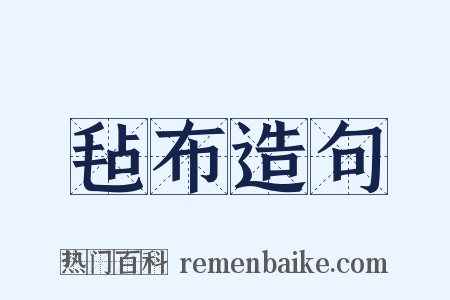 毡布造句是什么意思的图片